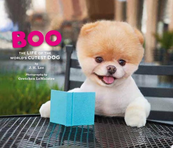 Boo The Life of the World's Cutest Dog
