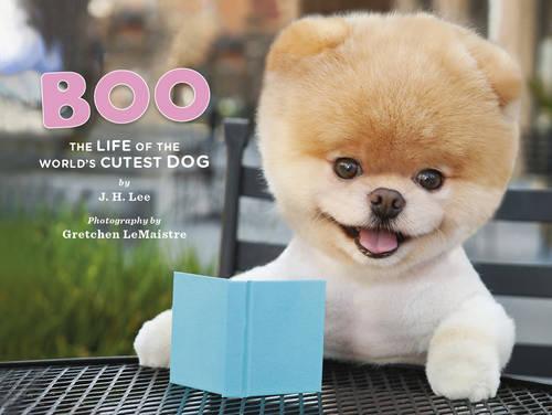 Boo The Life of the World's Cutest Dog